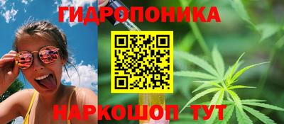 ПСИЛОЦИБИНОВЫЕ ГРИБЫ Лесосибирск